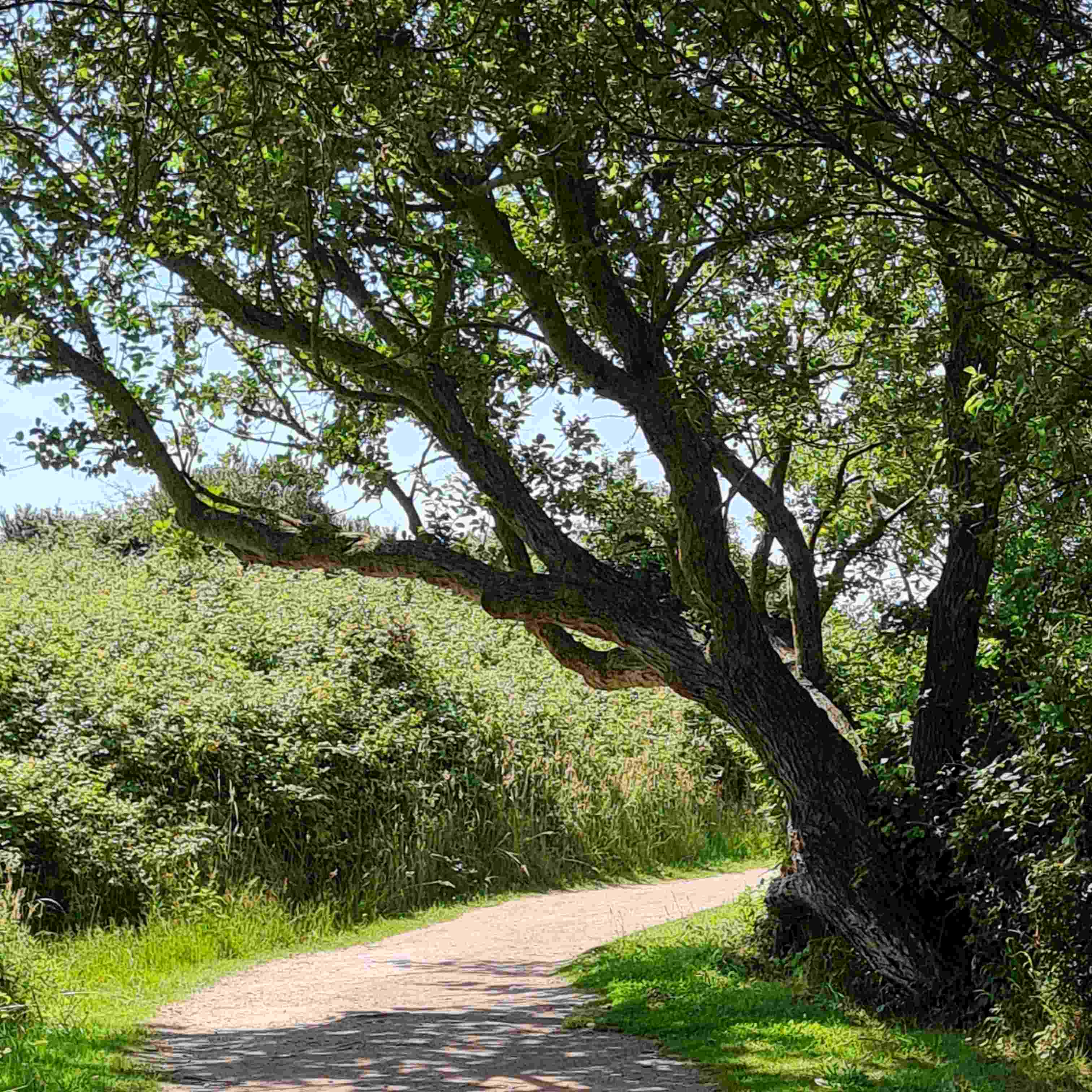 Photo de Nicole CROZE